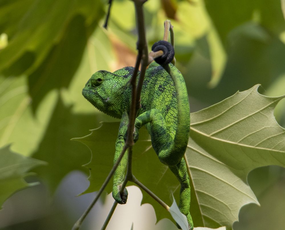 Photograph by Валентина Лопаткина