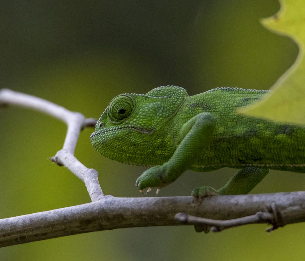 Photograph by Валентина Лопаткина