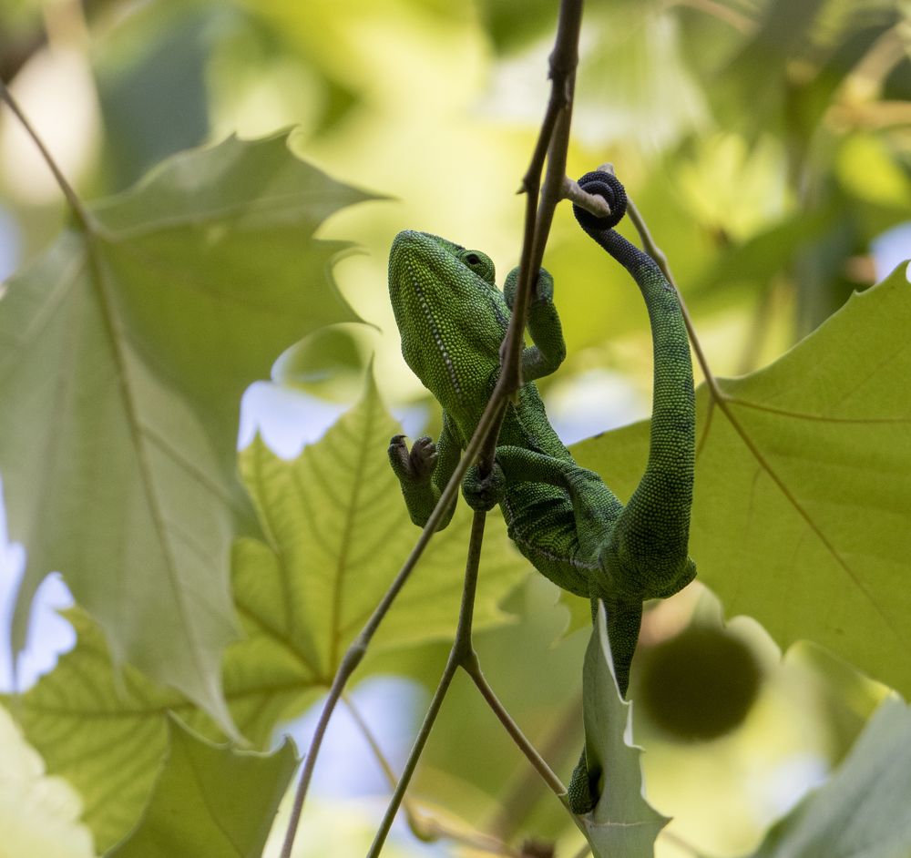 Photograph by Валентина Лопаткина
