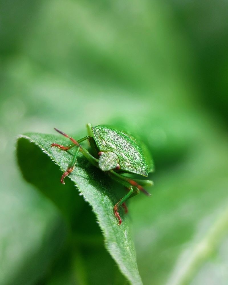 Photograph by Ксения Лукина