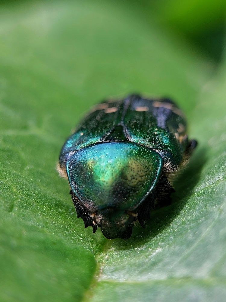 Photograph by Ксения Лукина