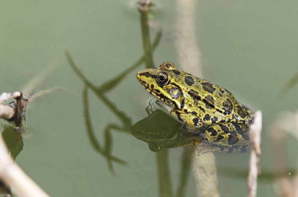 Photograph by Валентина Лопаткина