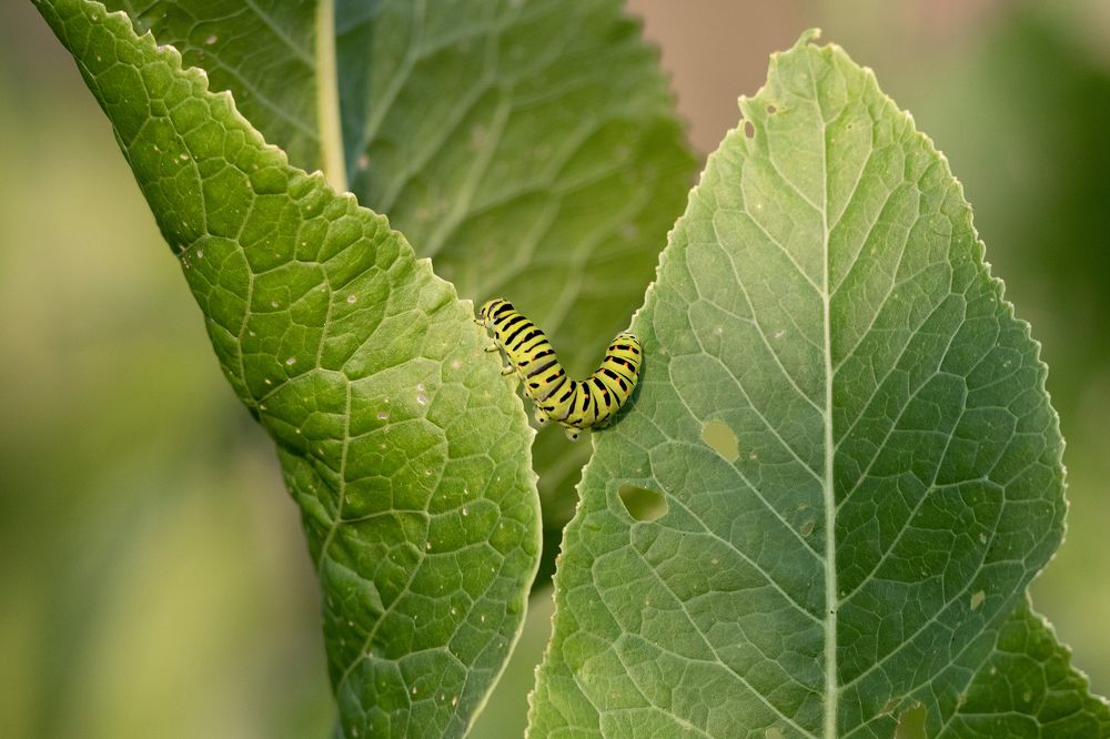 Photograph by Павел Краснослободцев