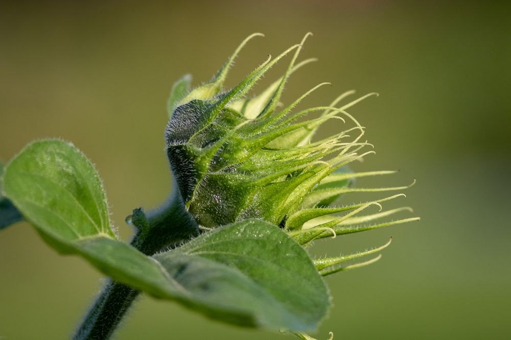 Photograph by Павел Краснослободцев