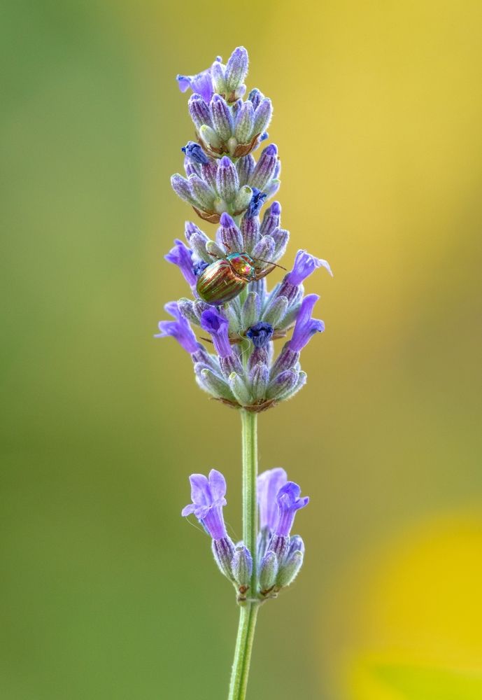 Photograph by Francisco José López Fernández
