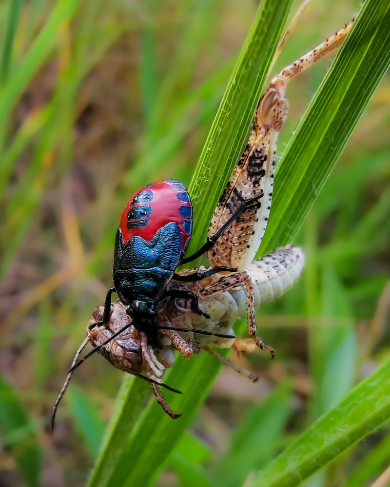 Фотография автора Дмитрий