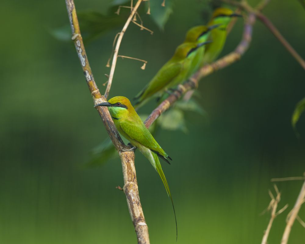 Photograph by Sameer Bhalekar