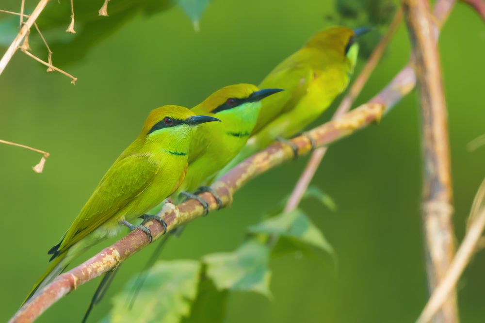 Photograph by Sameer Bhalekar