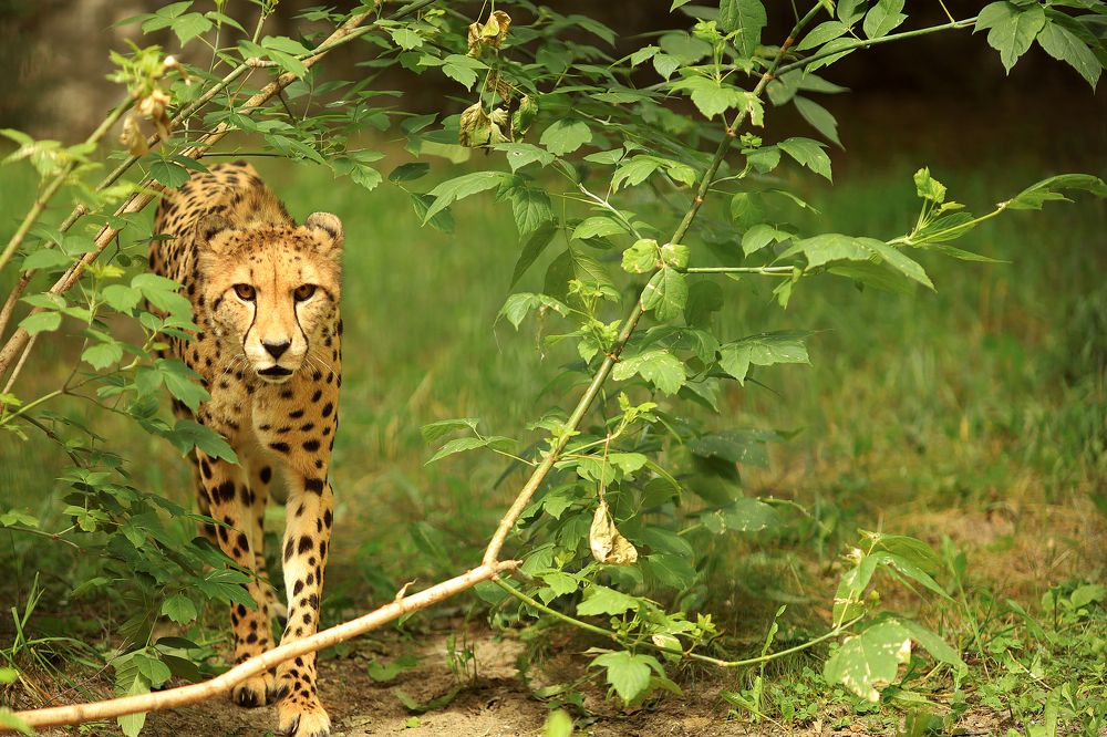 Photograph by Ольга Левина