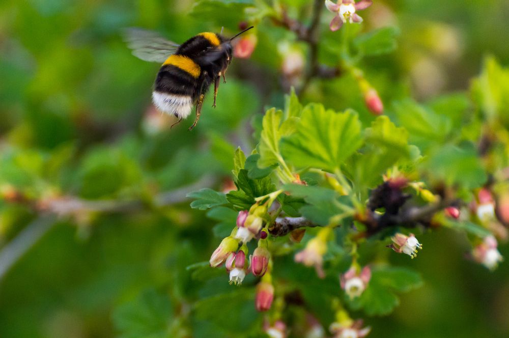 Photograph by Максим Маркин