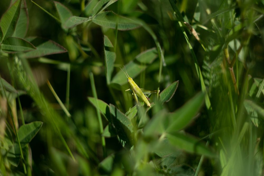 Photograph by Яна Соболева