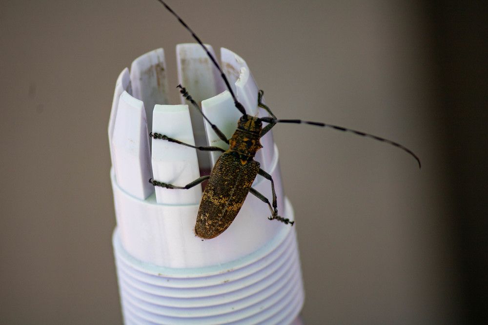 Photograph by Алексей Швецов