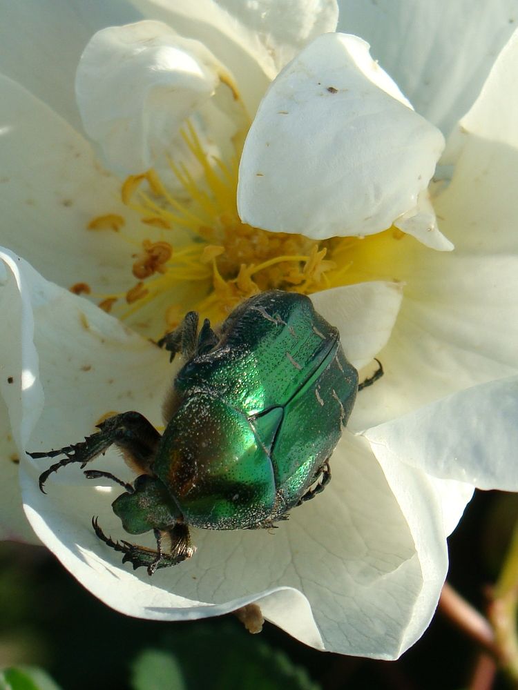 Photograph by Николай Худяков