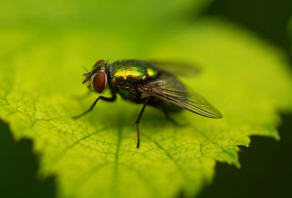 Photograph by Danyliuk Ruslan