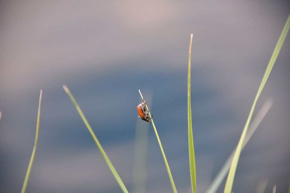 Photograph by Anna Zelinskaya