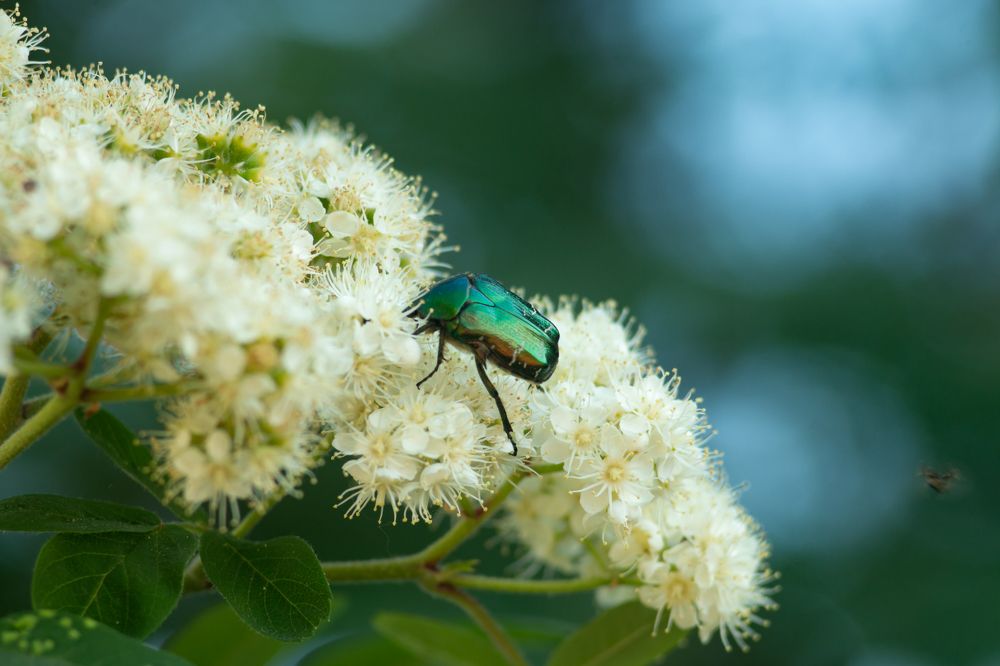 Photograph by Яна Соболева