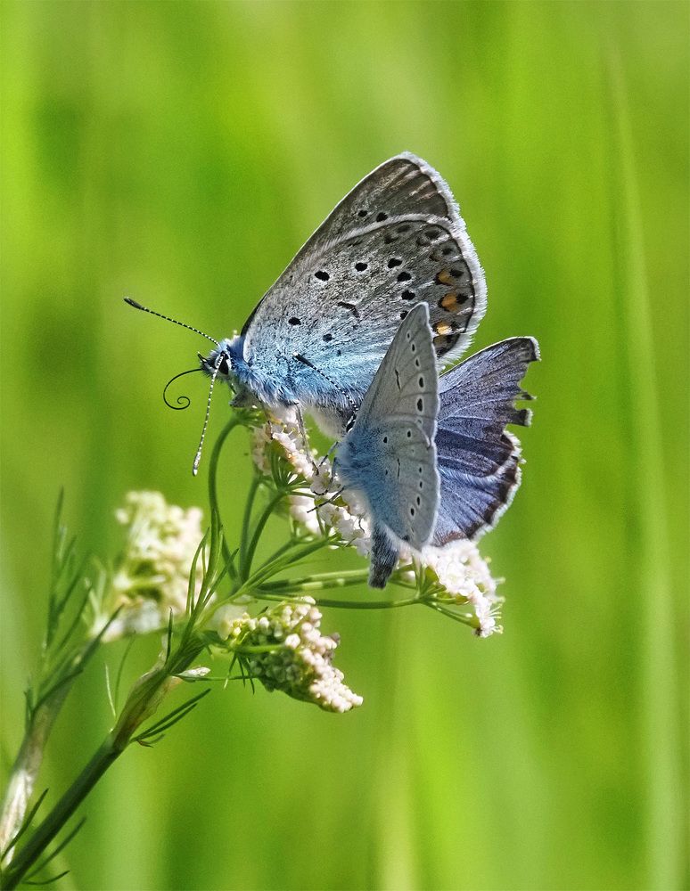 Photograph by Елена Харитонова