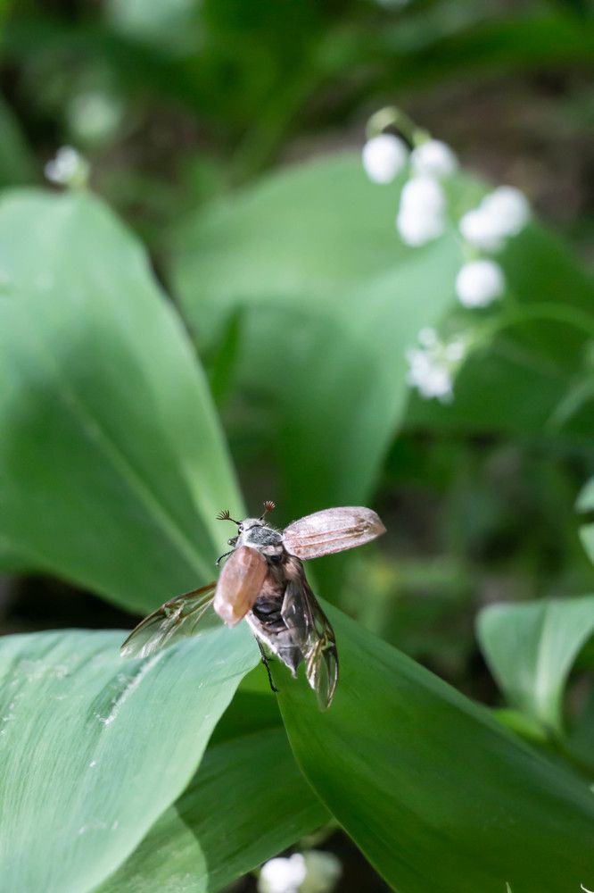 Photograph by Яна Соболева