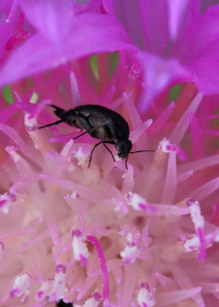 Photograph by Юрий Варюхин