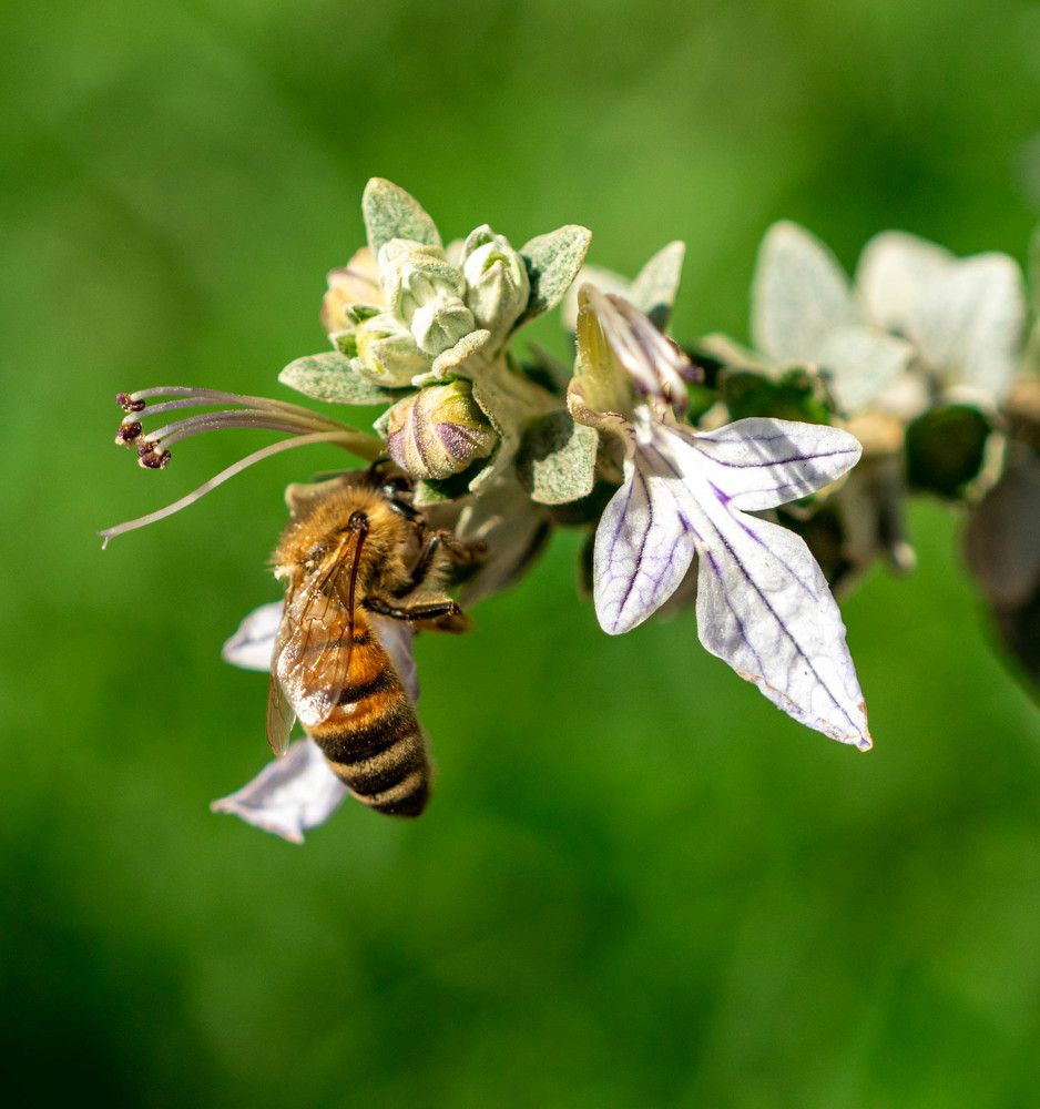 Photograph by Bryam Blanco