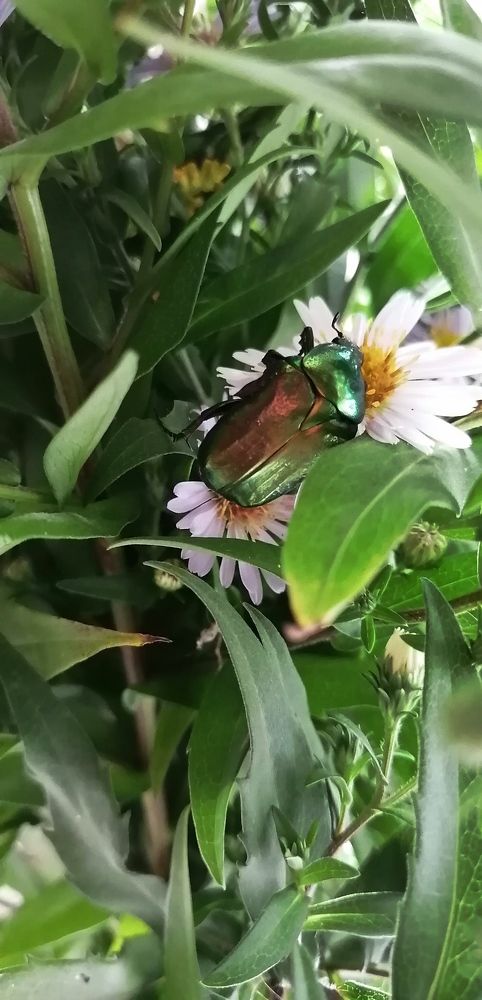 Photograph by Вероника