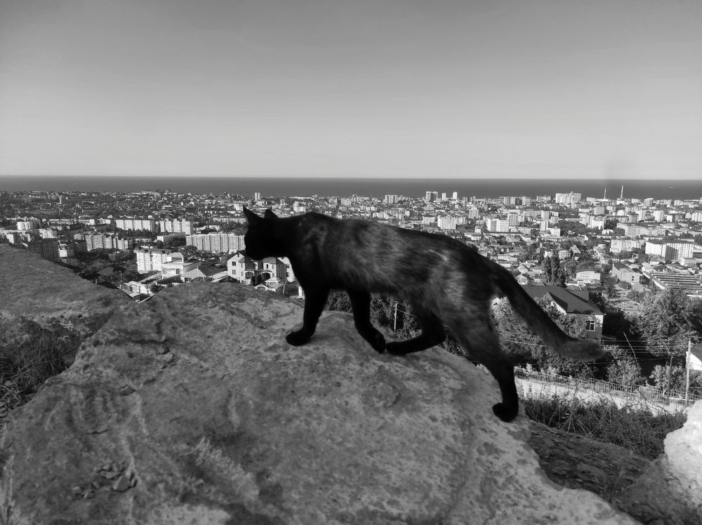 Photograph by Ирина Саттарова