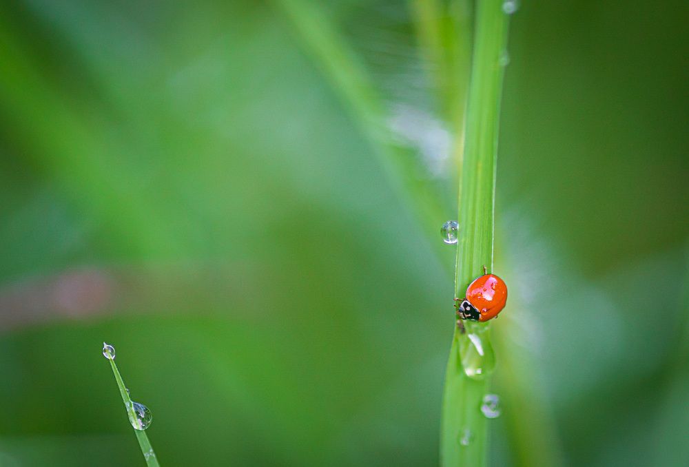 Photograph by Thomas Dunston