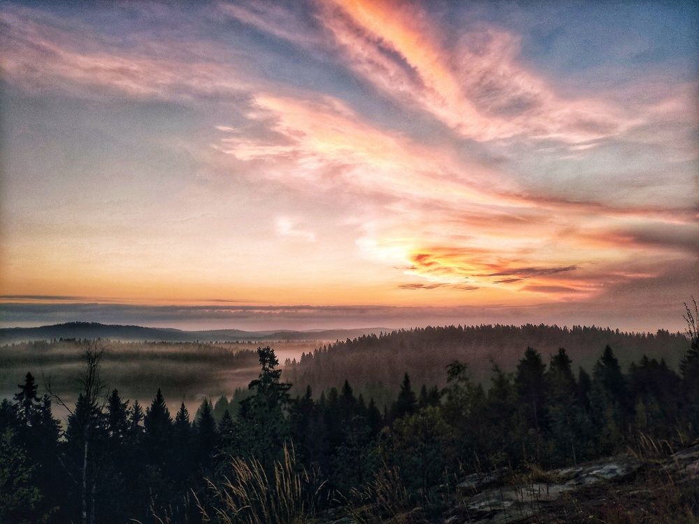 Photograph by Лев Кауфман