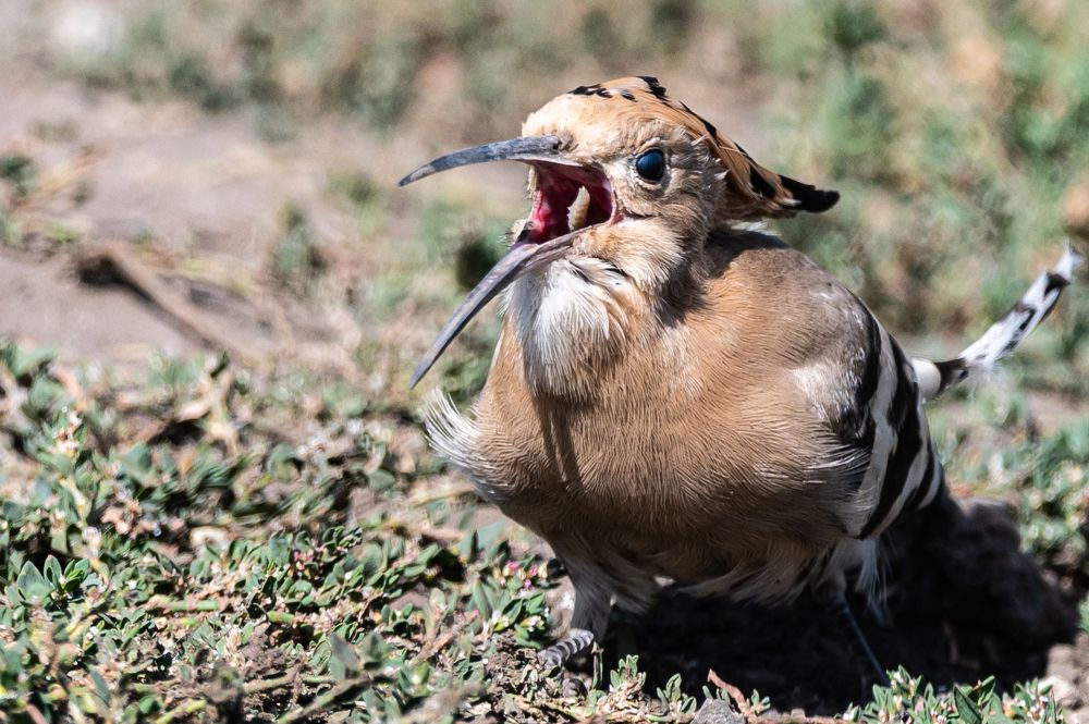 Photograph by Александр Щербаков