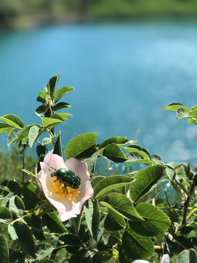 Photograph by Людмила Евстратова