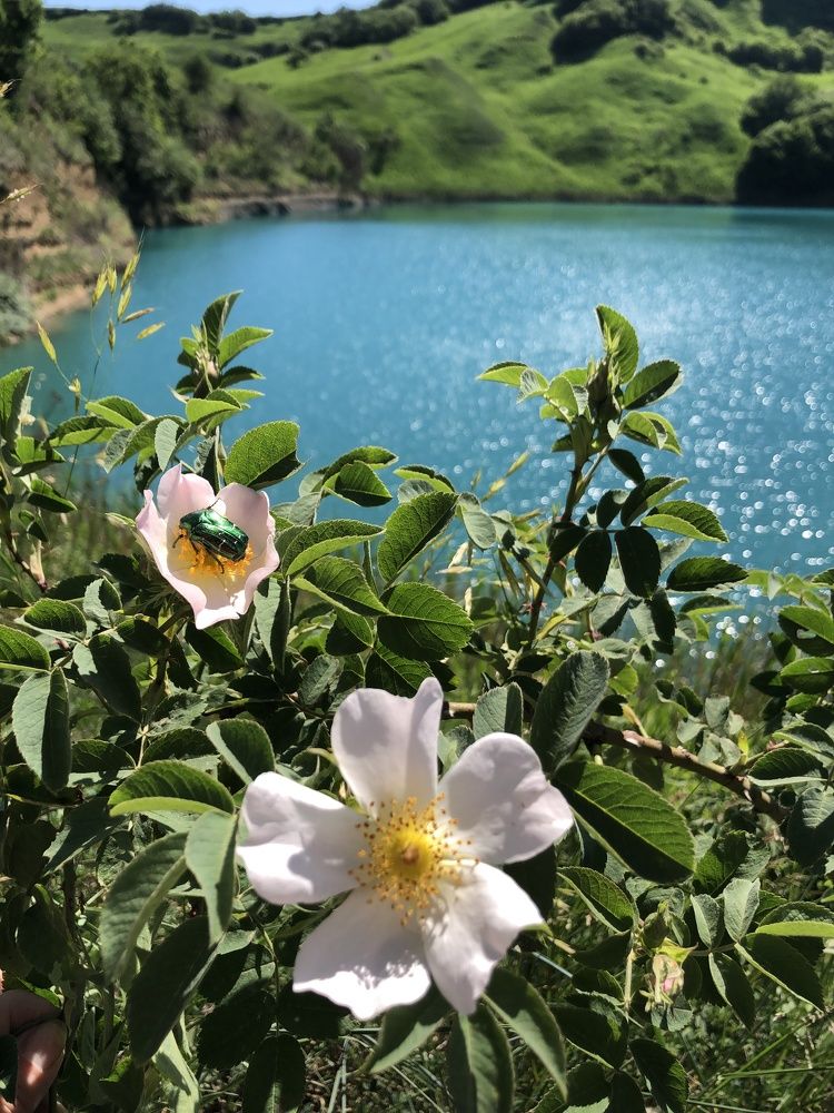 Photograph by Людмила Евстратова