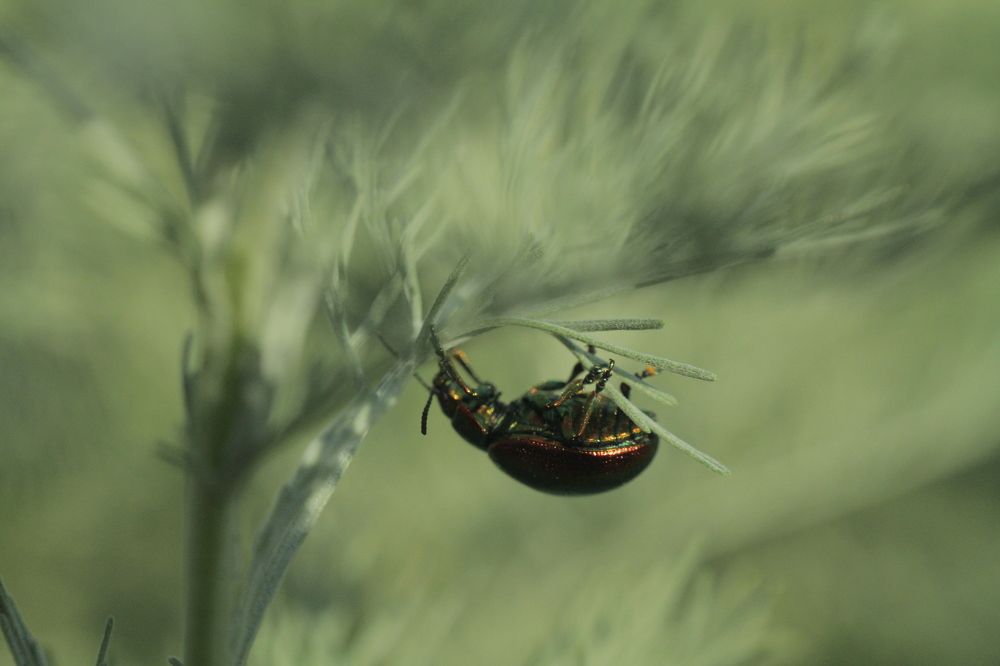 Photograph by Марина Савченко