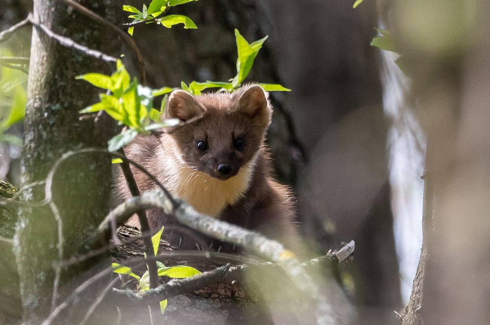 Photograph by Александр Щербаков