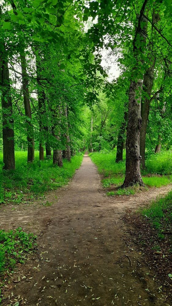 На перепутье