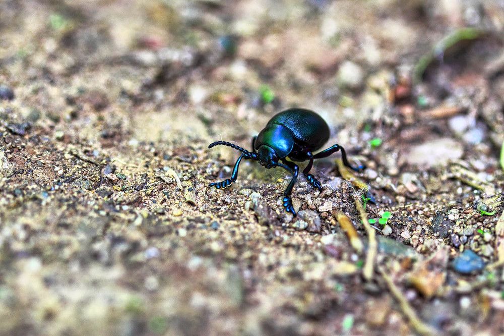 Photograph by Михаил Баевский