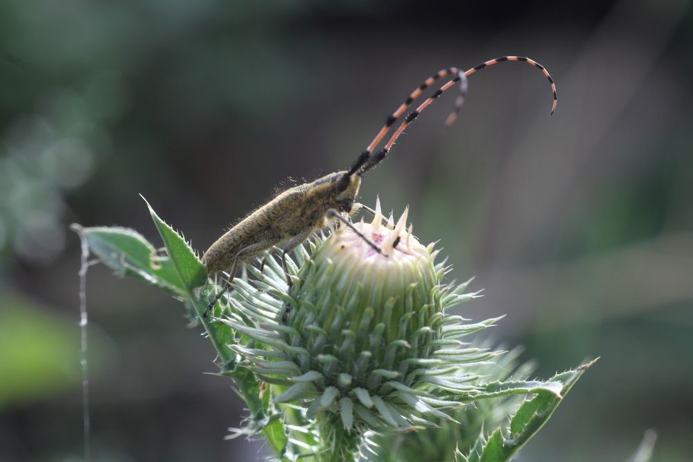 Photograph by Марина Савченко
