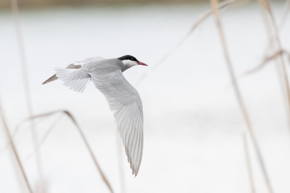 Photograph by Александр Щербаков