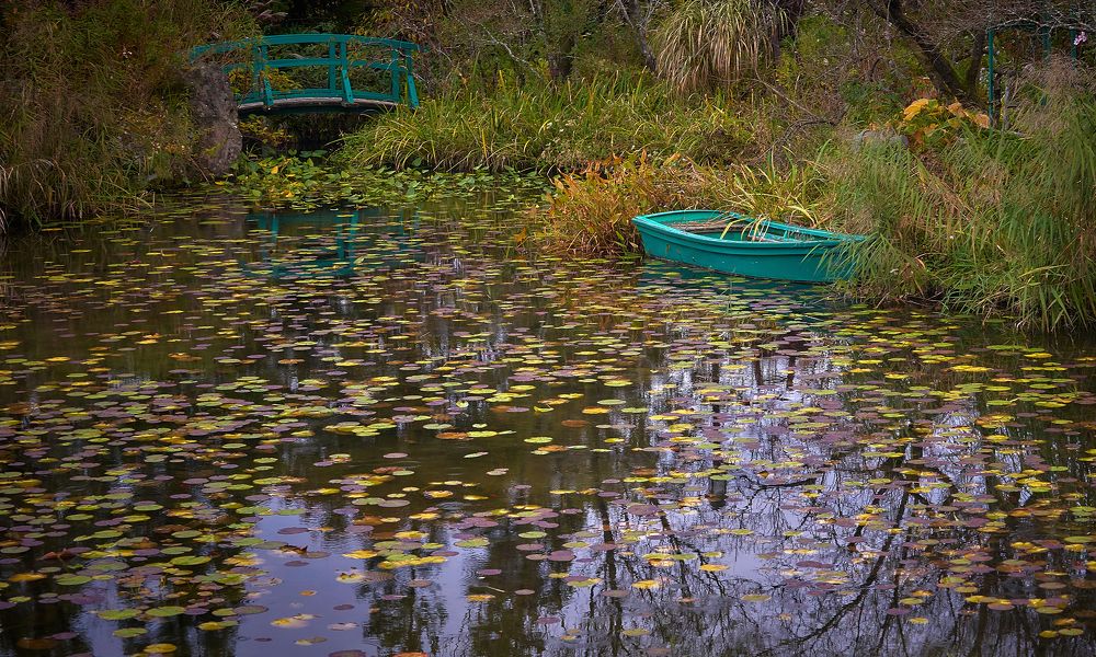 Photograph by Boris Bekelman