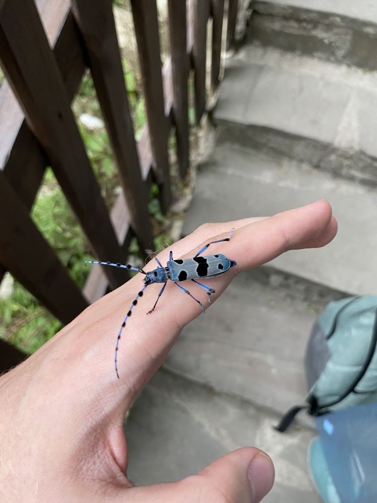 Photograph by Konstantin Kalmykov