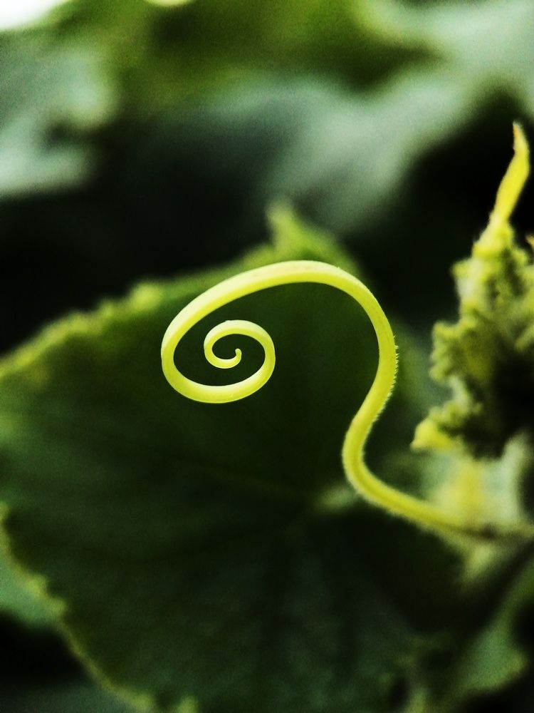 Photograph by Ольга Мокрова