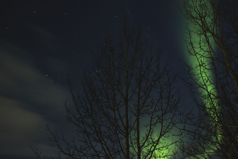 Photograph by Виктория Браун