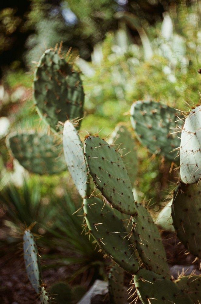 Photograph by Василий Селиванов