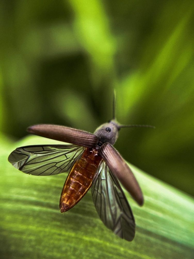 Photograph by Мария Фак