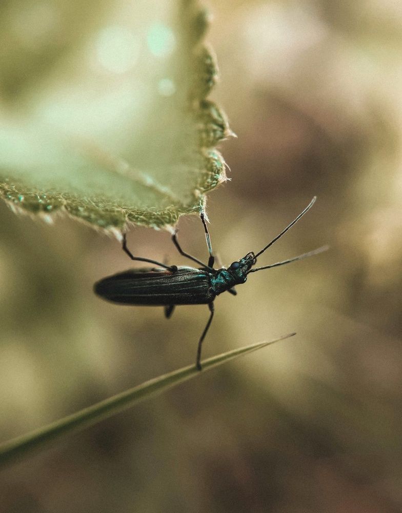 Photograph by Мария Фак