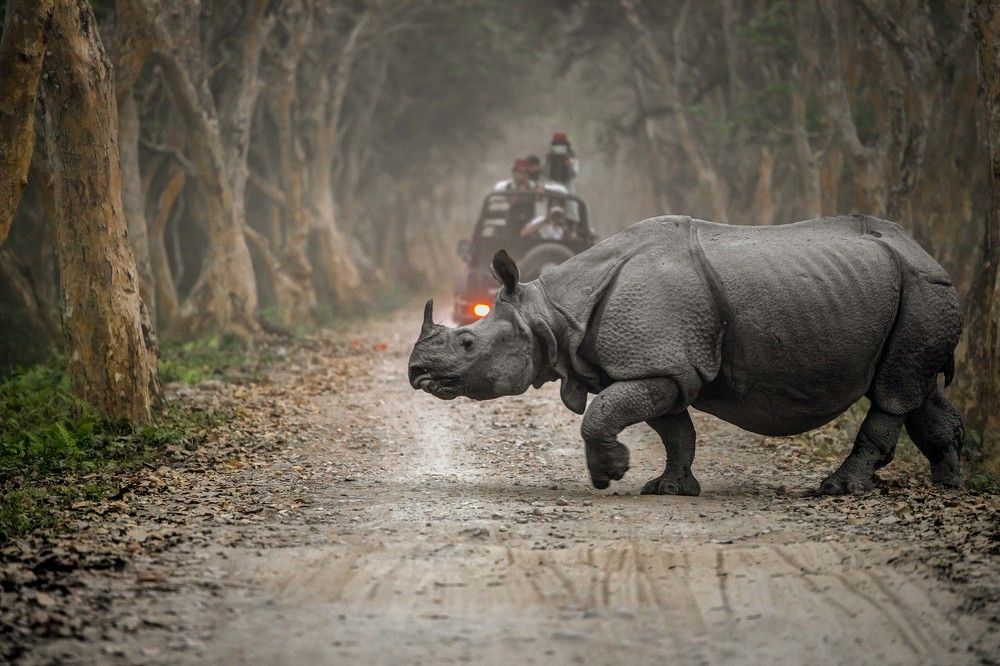 Photograph by Rajeeb Bharali