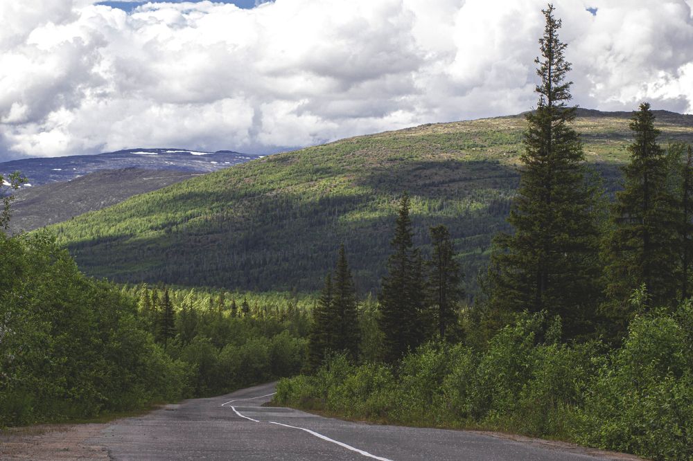 Photograph by Виктория Браун