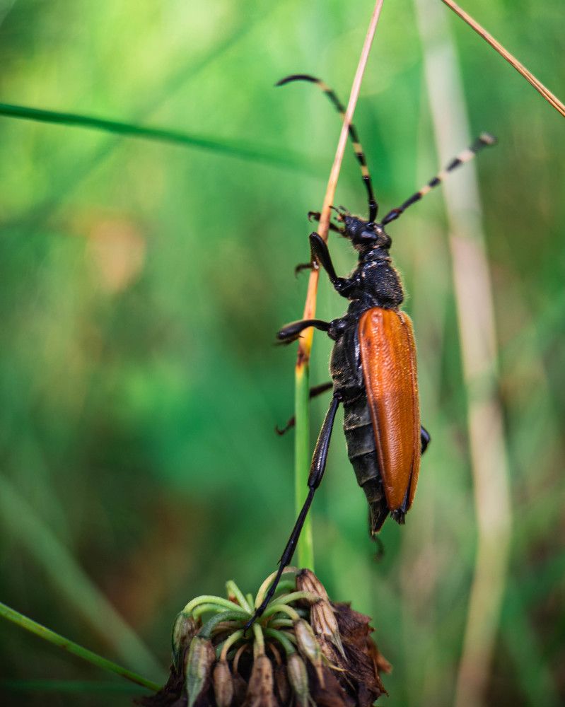 Фотография автора олег романов