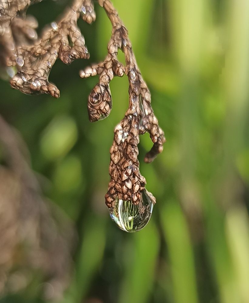 Photograph by Тихонова Ольга