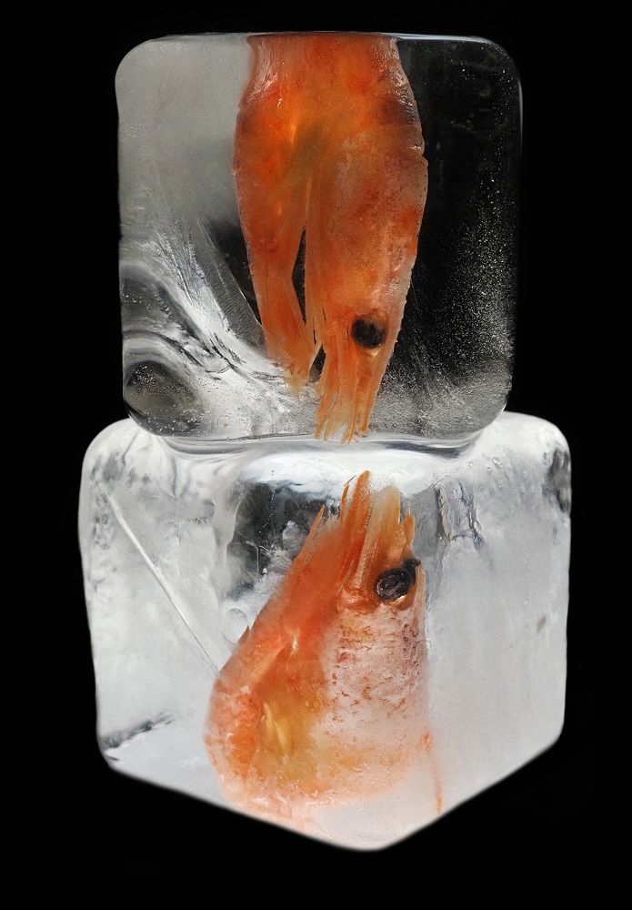 Photograph by Елена Харитонова