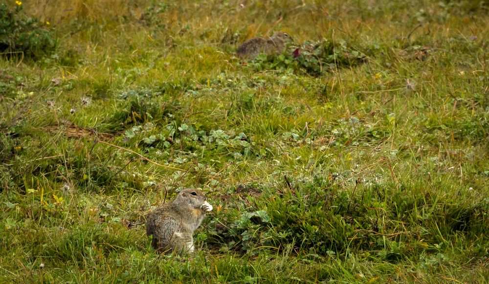 Photograph by Игорь Сидун